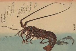Shrimp and lobster (Ise ebi to shiba ebi) 20 x 30 Poster - £20.44 GBP