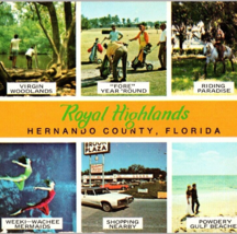 Vintage 1970s Royal Highlands Hernando FL Multi-View Unposted Panorama P... - $9.95