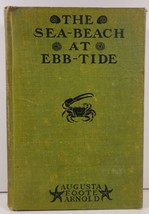 The Sea-Beach at Ebb-Tide by Augusta Foote Arnold 1901 - £7.20 GBP