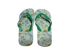 #383 New Blue Boys Dinosaurs Shoes 2/3 Flip Flops A Sandals T Rex Roar - $3.42