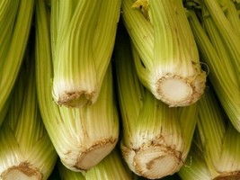 CLK 2750+ Celery Seeds Heirloom (Stringless) Vegetable for Microgreens o... - $4.12 CAD