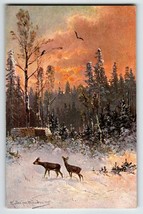 Deer Sunset View Bird Snow Trees Postcard Signed Muller Wildlife HKM 419 Germany - £13.55 GBP
