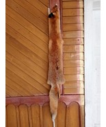 European Mountain Wild Red Fox Pelt Skin Hide Fur Quality Taxidermy Home... - $74.18