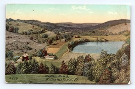 Cutter Pond Williamstown VT Vermont 1911 DB Postcard P14 - $2.92
