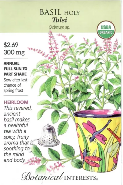 Basil Holy Tulsi Organic Herb Seeds Non-Gmo - Botanical Interests 12/24 Fresh Ga - £7.07 GBP