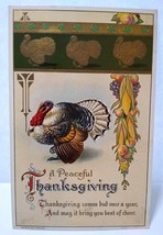 Thanksgiving Greeting Postcard Turkey H Wessler 1910 Embossed Corn Grapes Unused - £6.65 GBP