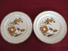 Autumn Fair Baroque set of 2  Desert Bread  Plates  Hearthside Stoneware - $12.69