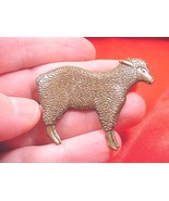 (B-LAMB-1) cute fluffy little baby Lamb sheep ewe brass pin brooch farm ... - £12.46 GBP