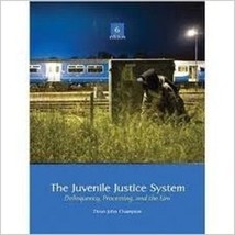 The Juvenile Justice System (2009, Hardcover) - £28.88 GBP