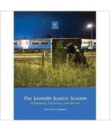 The Juvenile Justice System (2009, Hardcover) - £36.35 GBP