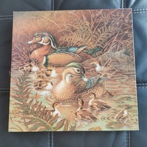 Springbok FAMILY OUTING Ducks Ducklings 500+ pc Jigsaw Puzzle Hallmark P... - $15.19