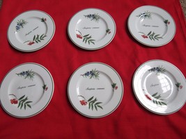Apilco France &quot;Elysian Gardens&quot; Dessert/Pie Plate Porcelain, set of 6  - £178.02 GBP