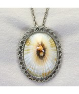 Real Opihi Shell Necklace Silver Tone Chain 24&quot;  Large Pendant Brooch Na... - $59.12 CAD