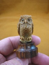 (tb-bird-6) fluffy tan Horned Owl TAGUA NUT palm figurine Bali carving l... - £39.18 GBP