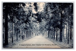 Forest of Pines Sete Citades St Michael&#39;s Azores Portugal UNP DB Postcard Q24 - £4.67 GBP