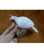 (Y-BIR-QU-43) Quail tan white blue bird gemstone STONE figurine Peru quails - $765.07 MXN