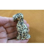 (Y-DOG-AI-701) spotted FOX WIRE AIREDALE Terrier dog GEMSTONE figurine c... - $24.05 CAD
