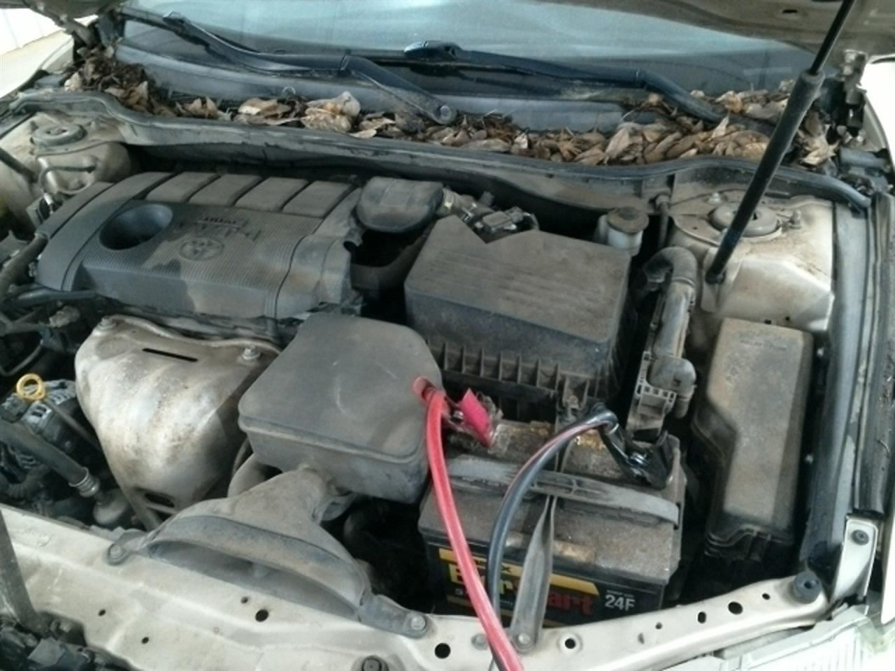 Driver Axle Shaft Front Axle VIN F 5th Digit 2.5L Fits 10-11 CAMRY 104861523 Item image 4