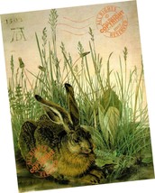 ALBRECHT DURER Hare Rabbit in weeds 1502 * Graphic Nature * Fine ART PRI... - $25.82