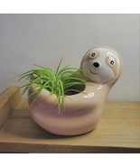 Live Air Plant in Sloth Animal Planter, 5&quot; beige glazed ceramic pot - £19.97 GBP