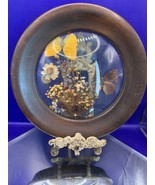 Round Convex Glass Wood Frame Dried Flowers And Butterflies By Dunston B... - $9.50