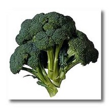 1000 Early Fall Rapini Broccoli Broccoli Raab Broccoli Rabe Brocoletti Cima Di R - $14.90