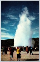 Old Faithful Geyser Yellowstone National Park UNP Chrome Postcard K6 - £2.29 GBP