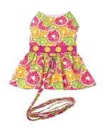 Hawaiian Citrus Slice Cotton Dress with Matching Leash Sizes XS-XL - €15,02 EUR