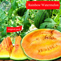 AQL Rainbow Watermelon Seeds - £22.22 GBP