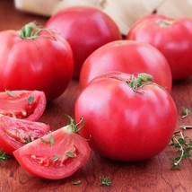 Fast Ship USA Seller Bradley Tomato Seeds 10 Seeds - £23.81 GBP