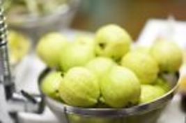 20+ seeds Lemon Guava {Psidium guajava}  - £9.35 GBP