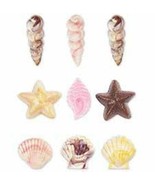 Wilton Seashells Candy Melts Mold Summer Luau Pool Beach Party Supplies ... - $7.59