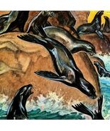Seals Ocean Shore 1954 Art Print Paul Bransom Marlin Perkins Zooparade D... - $24.10 CAD