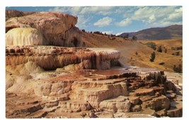 Postcard Minerva Terrace Mammoth Hot Springs Wyoming - £8.36 GBP