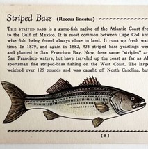 Striped Bass 1939 Salt Water Fish Gordon Ertz Color Plate Print Antique ... - £23.59 GBP