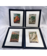 4 Antique Card Seed Co. Fredonia N.Y. Matted And Framed Vegetable Seed P... - £31.56 GBP