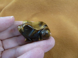 (Y-FRO-571) brown Tiger&#39;s eye FROG stone gemstone CARVING figurine I lov... - $14.01