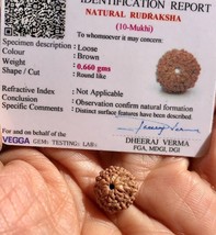 10 Mukhi Rudraksha Certificati In Laboratorio, 10 Ten Face Rudraksham 1... - £11.75 GBP