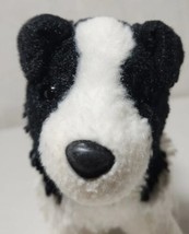 Douglas Cuddle Toys Meadow the Border Collie Stuffed Animal Toy 8&quot; - £7.76 GBP