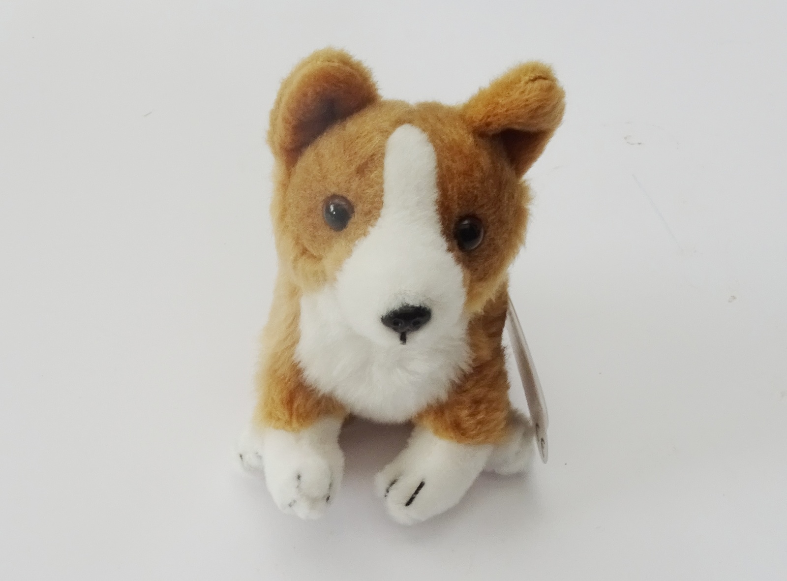 Welsh Corgi 12" tplushie as it is, gift wrapped, with personalised tag - $40.00 - $50.00