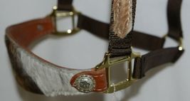 Pioneer Horse Tack Horse Show Halter Leather Hair Nylon Combnation image 4