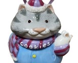 Hallmark Keepsake Ornament Cookie Jar Friends Carmen Cat 1996 Vintage - £7.55 GBP