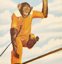 1940s Ringling Bros Barnum &amp; Bailey Linen Postcard Chimpanzee Tightrope ... - €34,34 EUR
