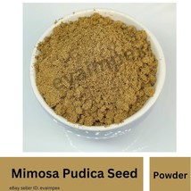 LAJWANTI MIMOSA PUDICA CHUIMUI SENSITIVE PLANT BASHFUL MIMOSA HUMBLE PLA... - $9.28+