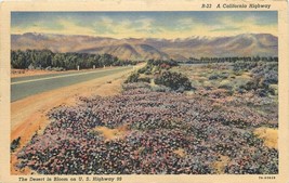 Desert in Bloom Highway 99 Wildflowers Flowers Used 1940 Linen Postcard CA Da956 - £3.62 GBP