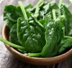 Organic Cool Weather Bloomsdale Spinach Seeds Non GMO Open Pollinated 20... - $6.99