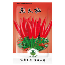 USA SELLER 1000Pcs Birdseye Chili Pepper Seeds Fresh Garden Seeds Fast Shipping - $15.45