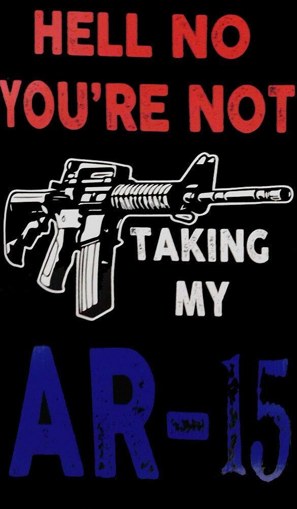 Hell No You&#39;re Not Taking My AR-15 Black Vertical Vinyl Decal Bumper Sti... - $2.88