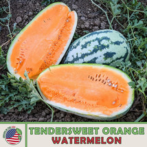 RAFHSTORE 10 Tendersweet Orange Watermelon Seeds Heirloom Nongmo Genuine US SEED - £6.61 GBP