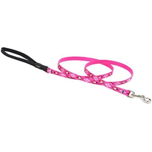 LupinePet Originals 1/2&quot; Puppy Love 6-foot Padded Handle Leash for Small... - $25.99